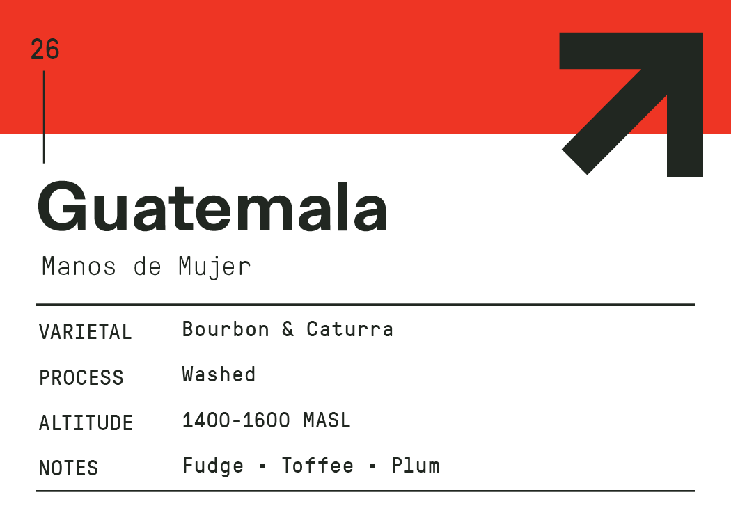 Guatemala Manos de Mujer