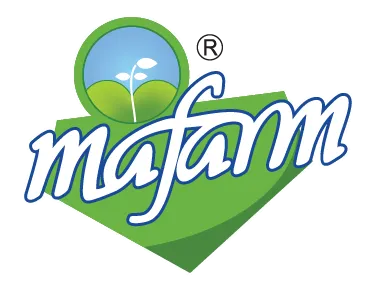 Ma Farm