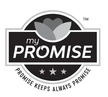 My Promise