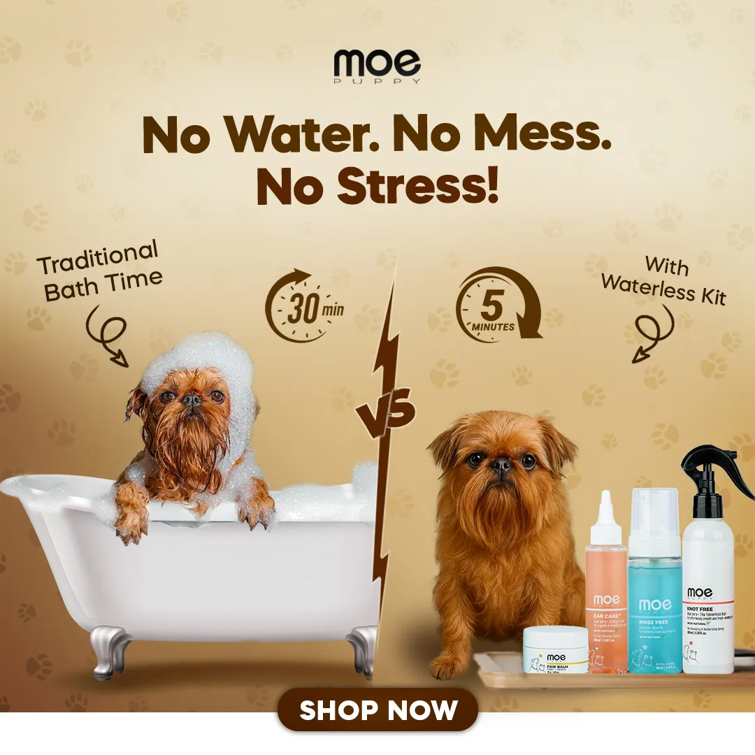 Creative Poster