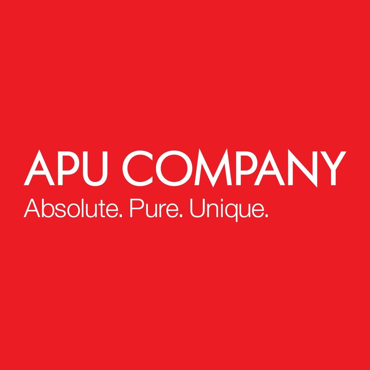 APU Company