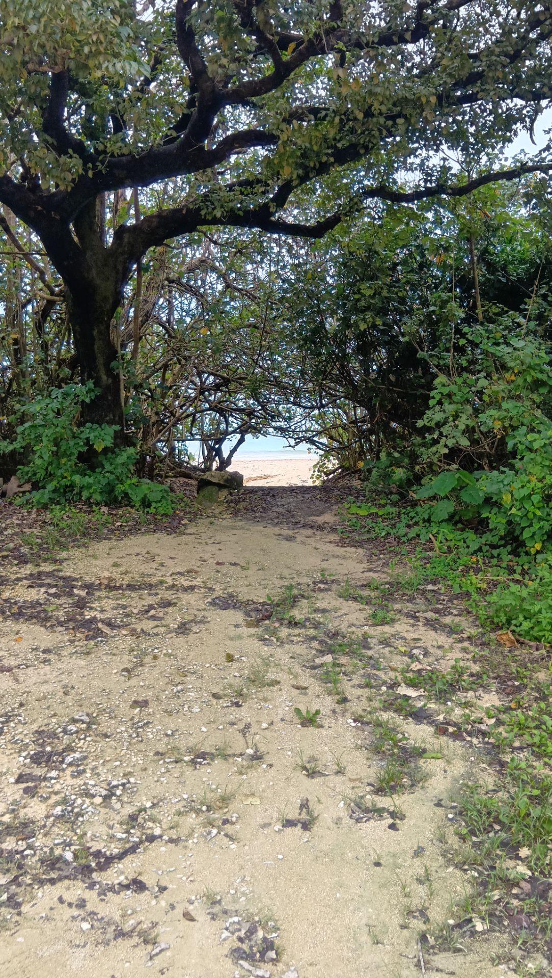 実績画像