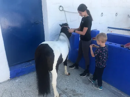 Paseo con Pony en Mijas, Málaga