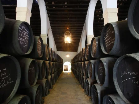 Visita a las Bodegas Tío Pepe