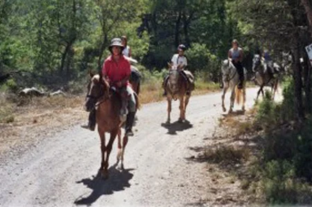 Excursiones a caballo