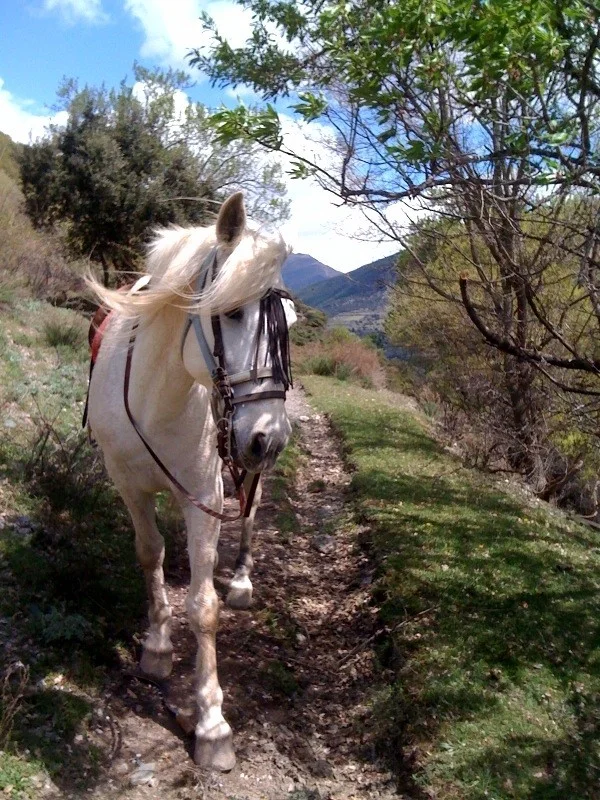 Excursiones a caballo — Cavall manu