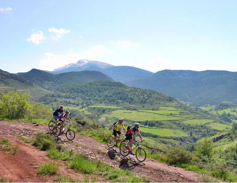 Alquiler de bicicletas todo terreno btt — Bici
