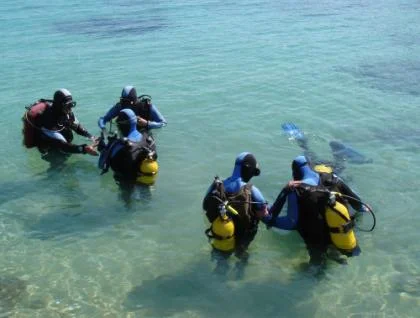PADI Open Water Diver