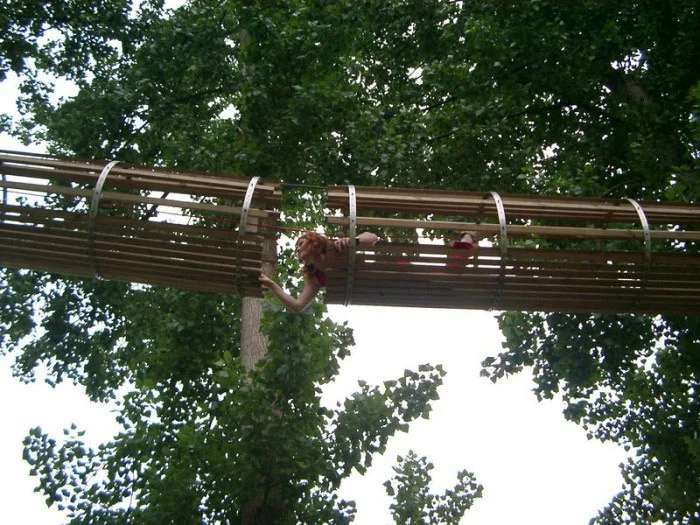 Parque aventura arborismo — 1