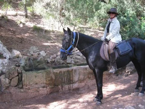 Ruta a caballo ruta cala mitjana 1h30min — Camica