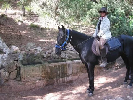 Ruta a caballo en Cala Mitjana, Menorca
