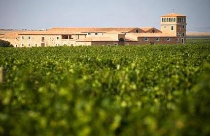Visita de bodega en Albacete con cata