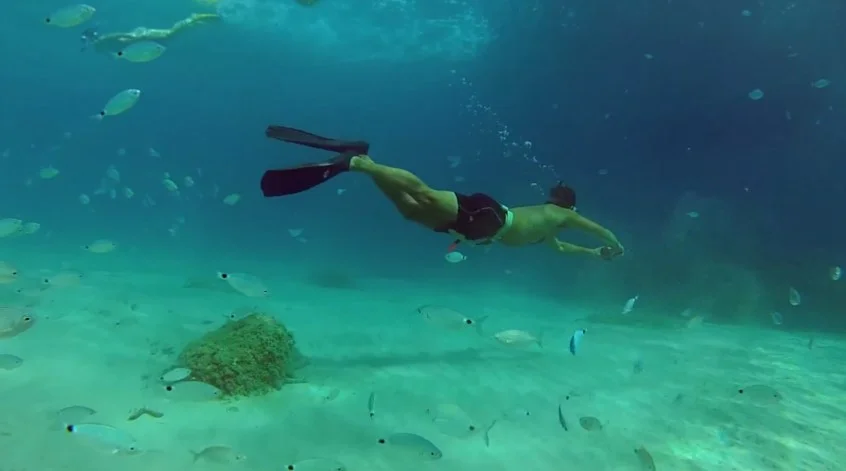 Excursiones de snorkeling — Snorkel mallorca