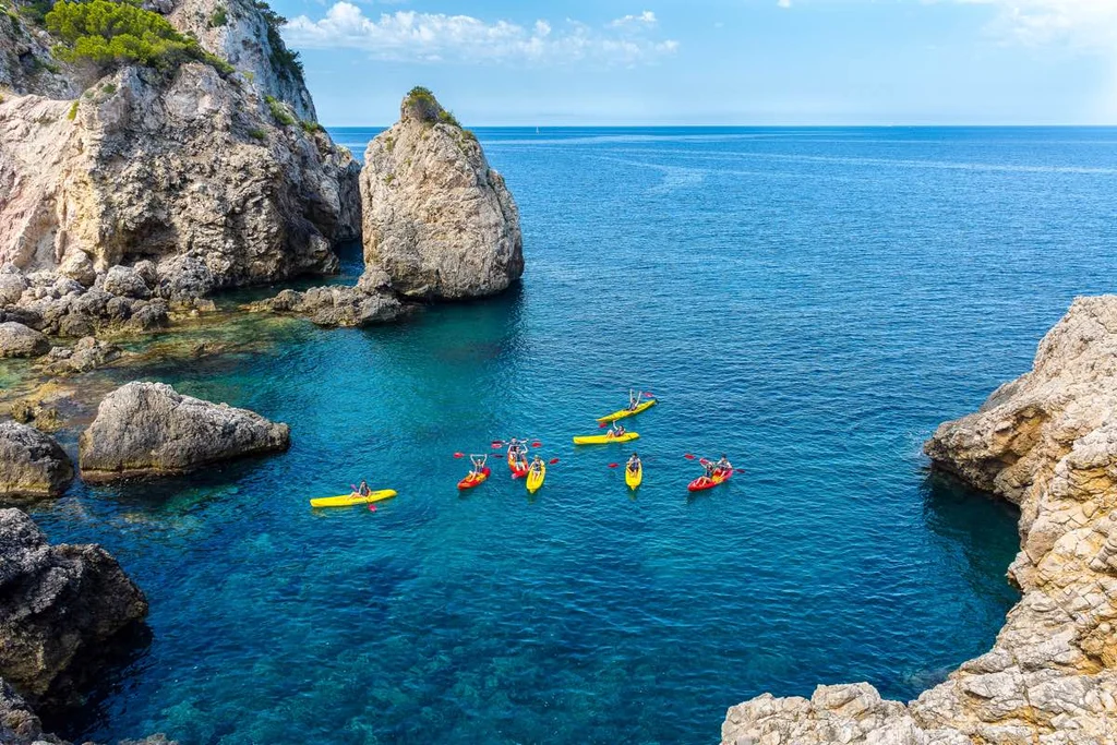 Alquiler de kayaks — Alquiler kayak