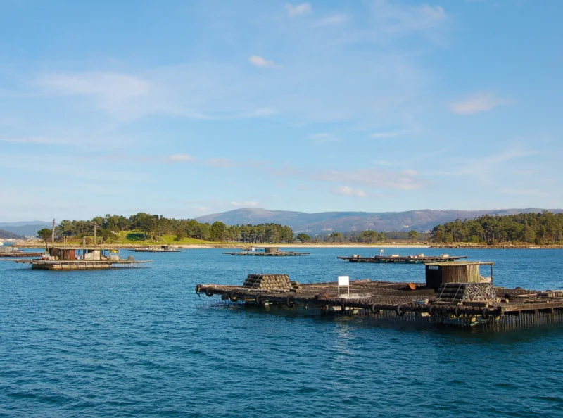 Excursion en barco por la ria de arousa para grupos — Catamaran ruta arousa
