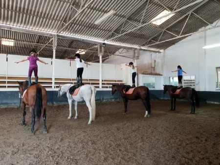 Clases de Equitación para niños y adultos en Mijas