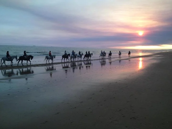 Despedida de soltero original ruta caballo para despedidas — Playanoche