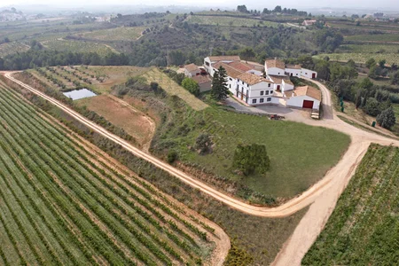 Visita a bodega para colegios en el Penedès