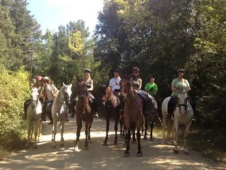 Rutas a caballo en el Montseny (Barcelona)