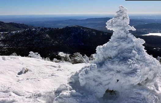 Raquetas de nieve en madrid dia completo — Raquetas arbolnevado