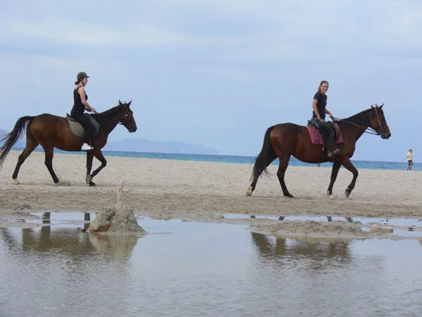 Paseos a caballo en el norte de mallorca — 2 playa