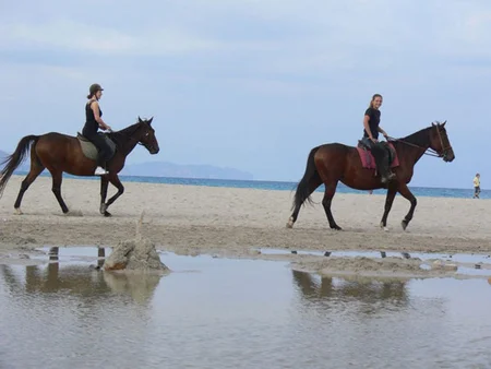 Paseos a Caballo en el Norte de Mallorca
