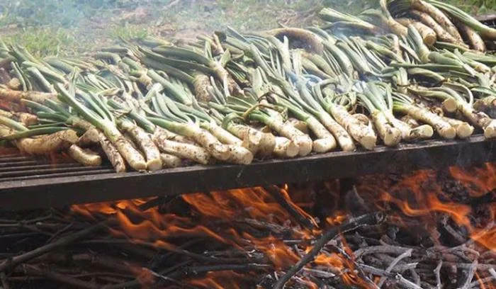 Calcotades menu de calcotada — Calcots a la brasa
