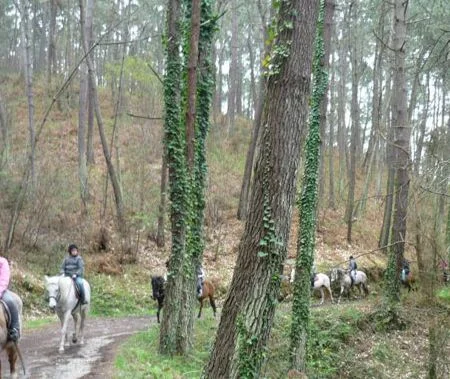 Ruta a caballo en asturias desde cudillero 1 h — Ruta asturias