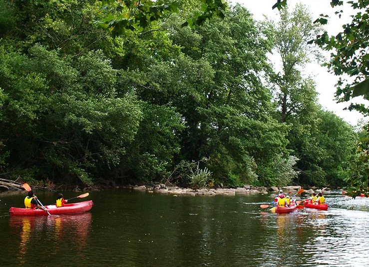 Kayak por las marismas de santona en la ria de limpias — Canoas ason