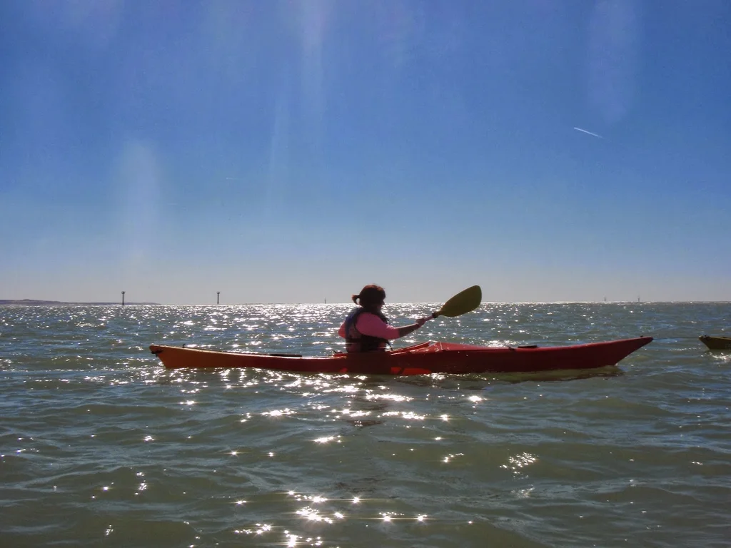 Rutas en kayak en las marismas de sancti petri — Kayak1
