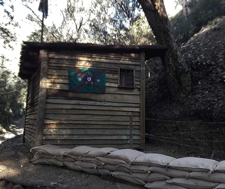 Escape Room Exterior: Forest Escape Game
