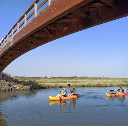 Ruta en kayak Marismas del Río Piedras y del Rompido