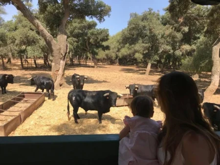 Visita Ganadería de toros Gavira en Cádiz