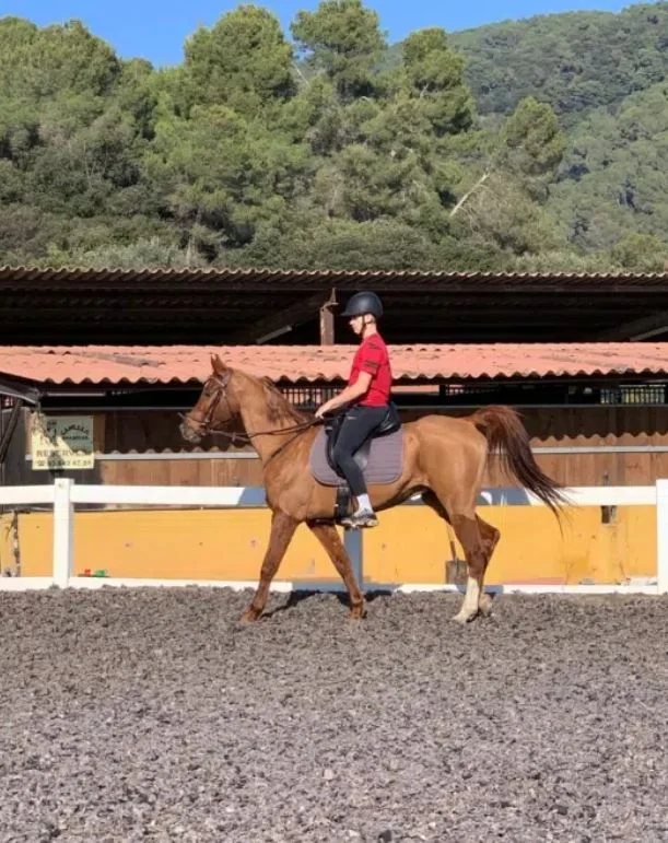 Clases para montar a caballo clases de equitacion — Clases de caballo en barcelona
