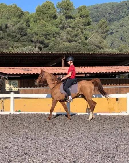 Clases para montar a caballo - Equitación en Cànovas (Barcelona)