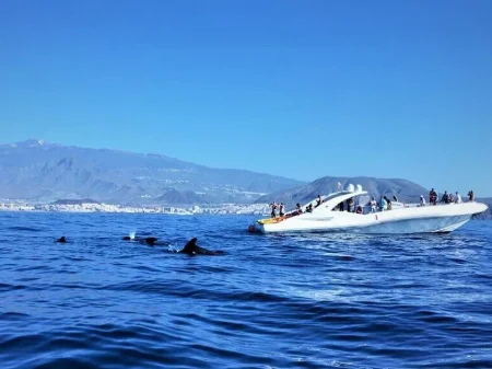 Excursión en barco en Tenerife