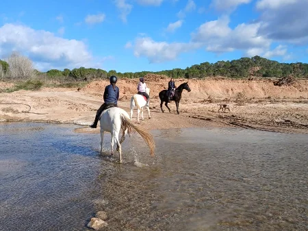 Ruta a Caballo con Aperitivo entre Viñedos