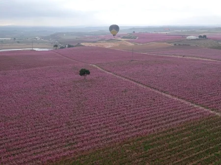 Vuelo en globo entre frutales en flor (marzo)