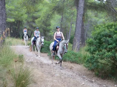 Ruta privada a caballo en Mallorca