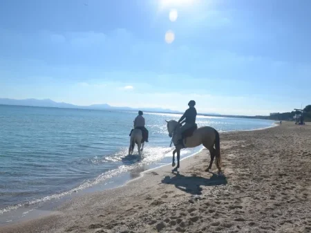 Ruta a caballo por la playa de Alcudia en Mallorca