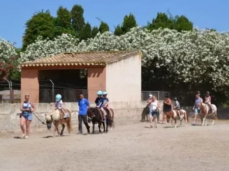 Montar en Poni en Palma