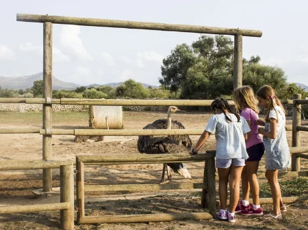 Actividades escolares. Hípica, granja y naturaleza