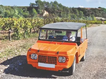 Ruta en 4x4 entre viñedos en el Penedès