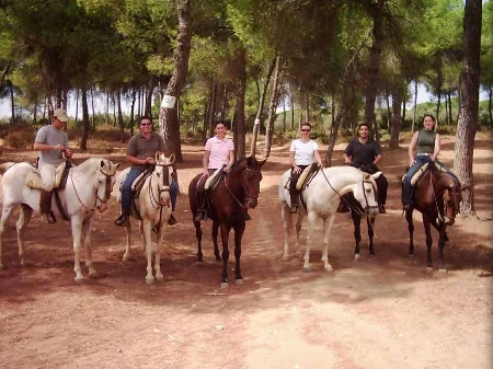 Ruta a caballo privada en Aznalcázar