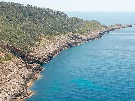 Inmersiones en Mallorca