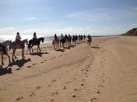 Ruta a caballo en Doñana, playa, dunas y parque natural