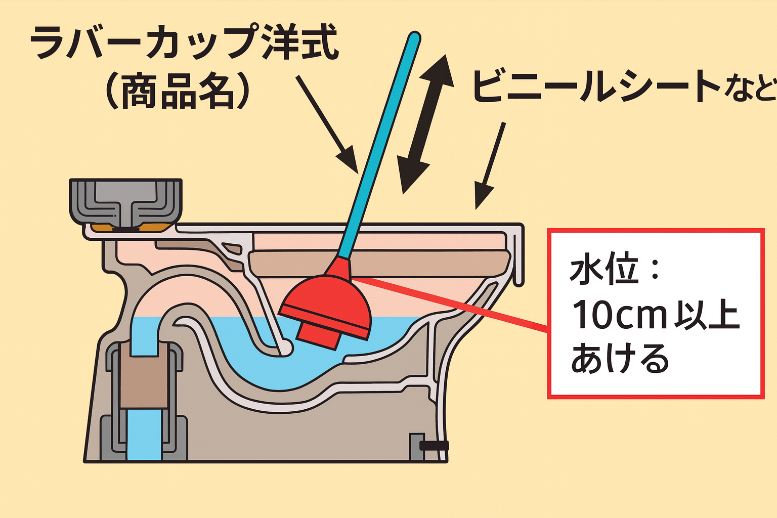 ✅🪠 ラバーカップ（スッポン）の正しい使い方 ① 便器の水位を確認する
