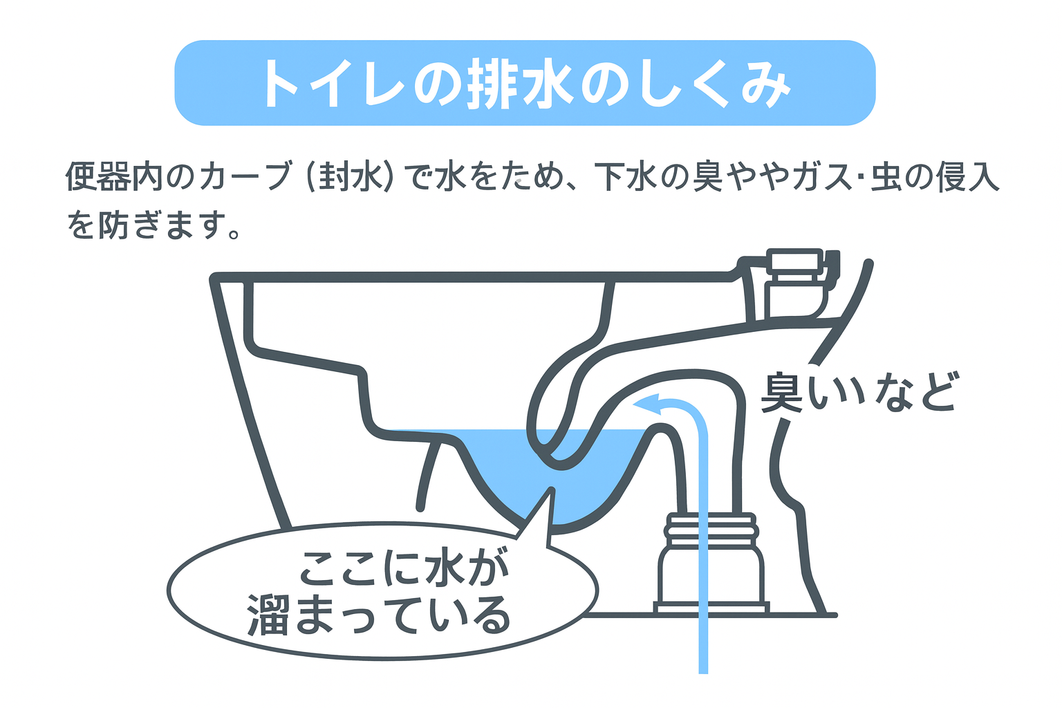 トイレの排水のしくみ