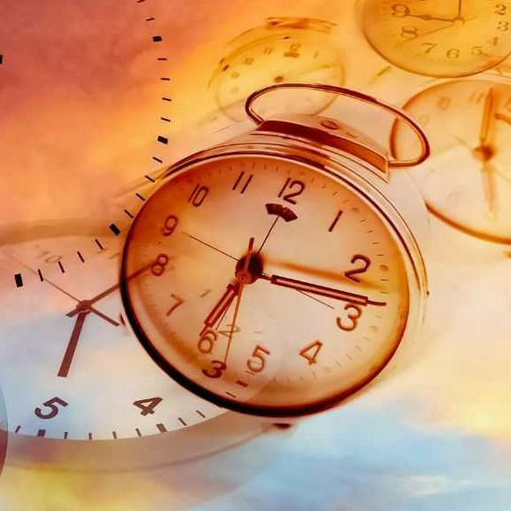 Tolet Care Member Image