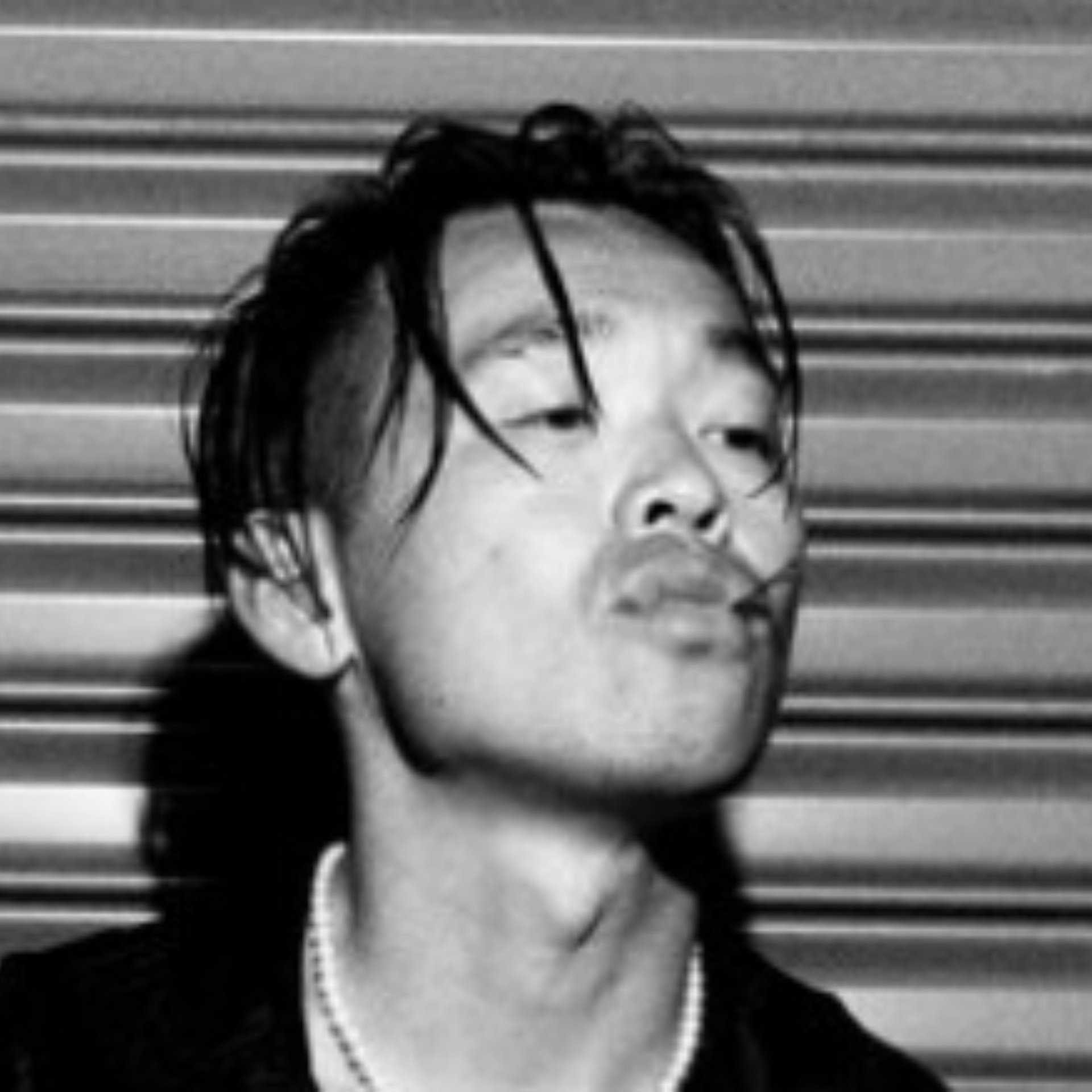 ZHU profile